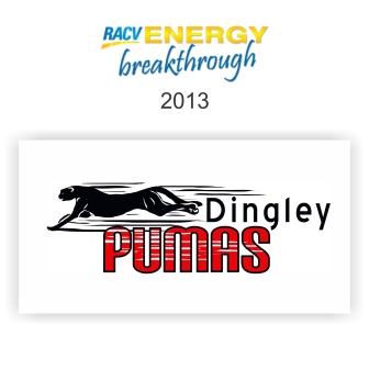Dingley Pumas