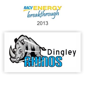 Dingley Rhinos